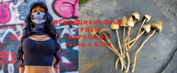 мдпв Волосово