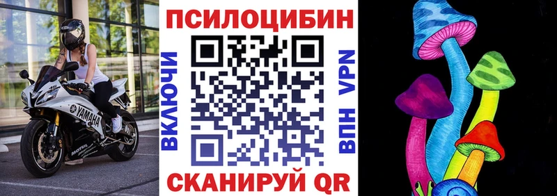 Псилоцибиновые грибы Psilocybe  Плавск 